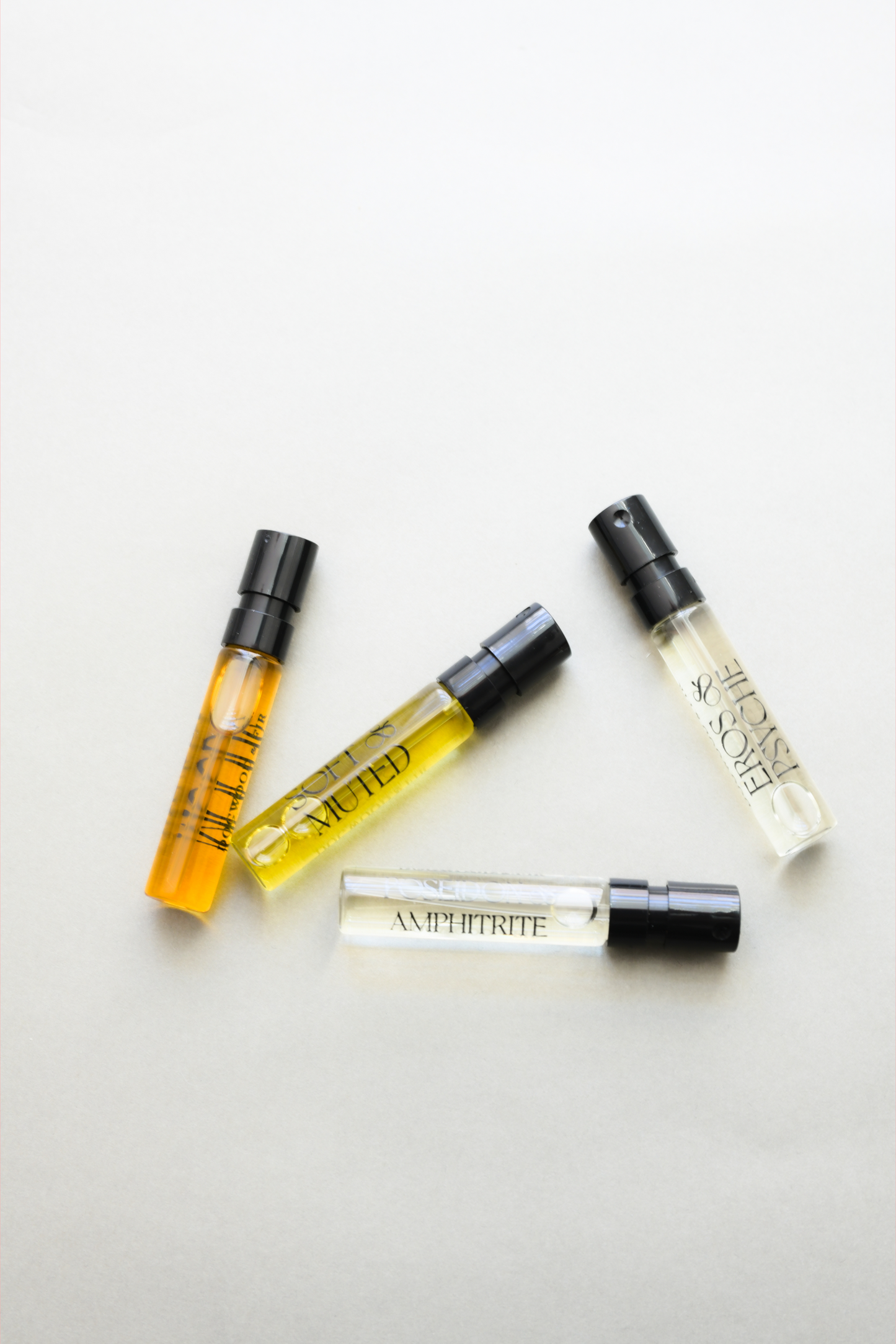 The Sample Set